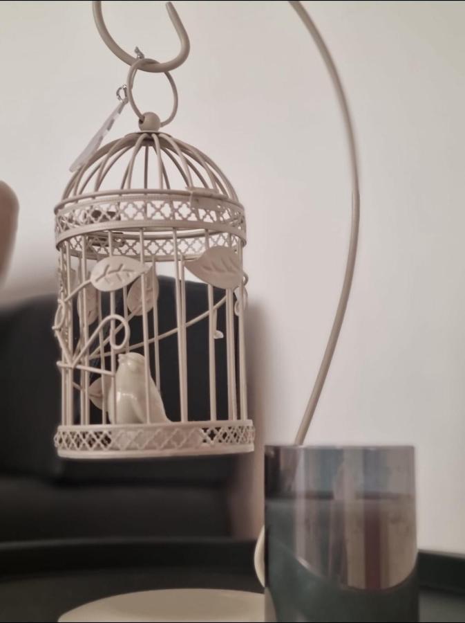 Stella Apartment Sibenik Charm&History United Luaran gambar