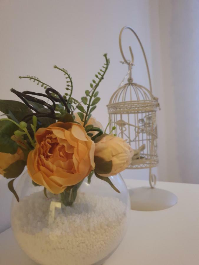Stella Apartment Sibenik Charm&History United Luaran gambar